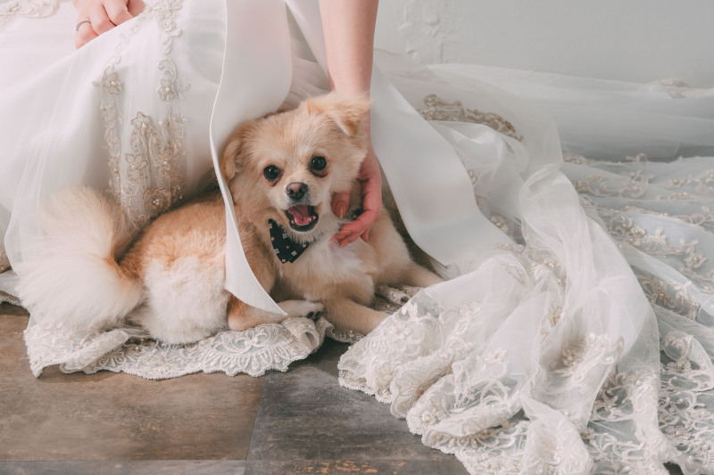 Jheart 江ノ島(ジェイハート エノシマ)_ペットと一緒に撮影できる