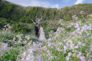 Jheart 江ノ島（ジェイハート エノシマ）_城ヶ島のドローン付きオープニングムービー