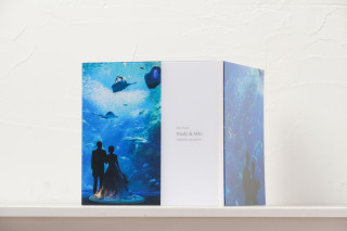 JH-02　レイフラット