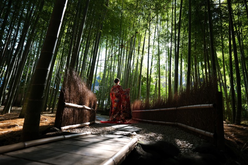 ヘアメイクの技術 写真1 before