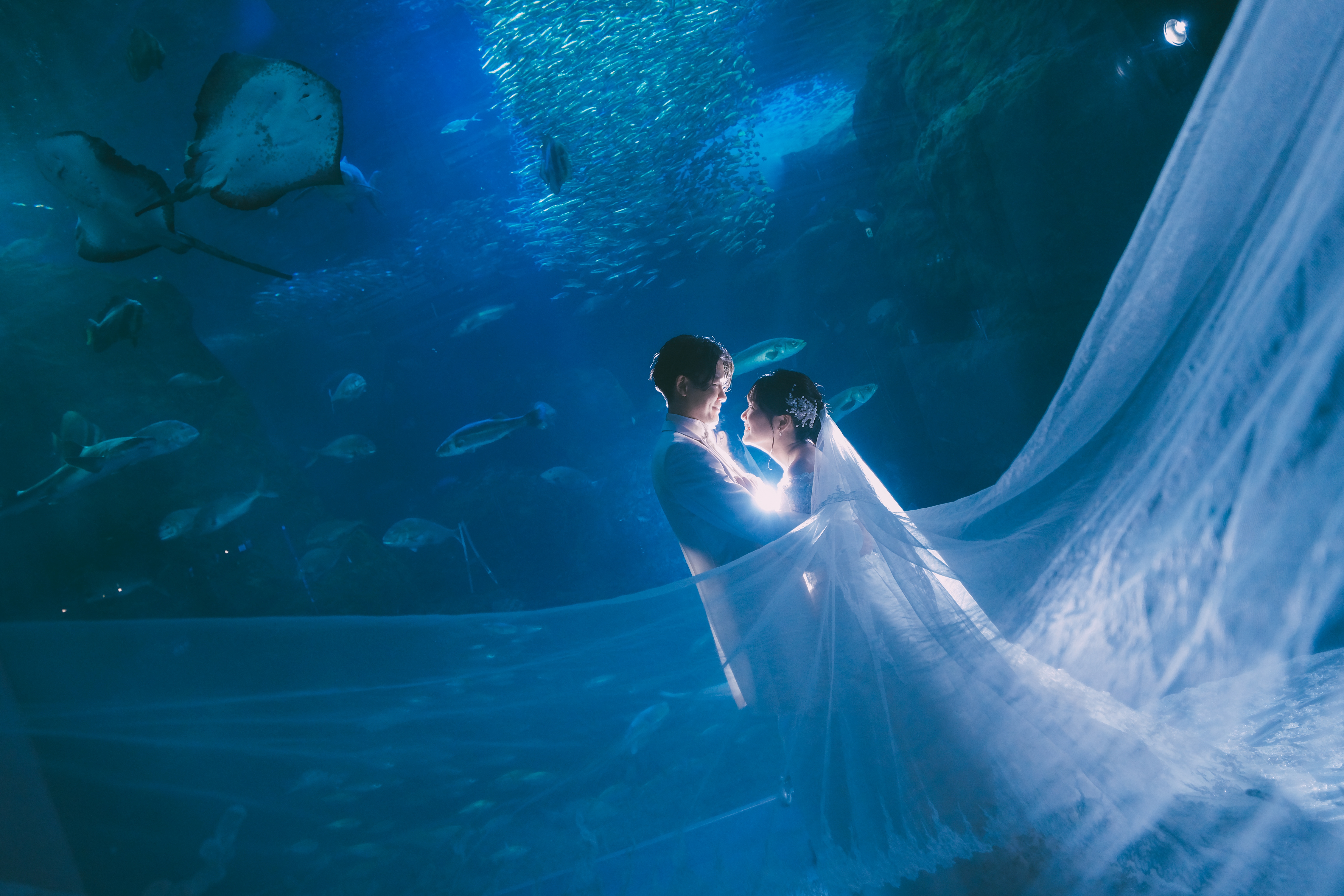 20以上ある撮影シーン