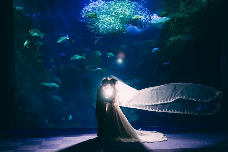 Point1 多彩な撮影シーン