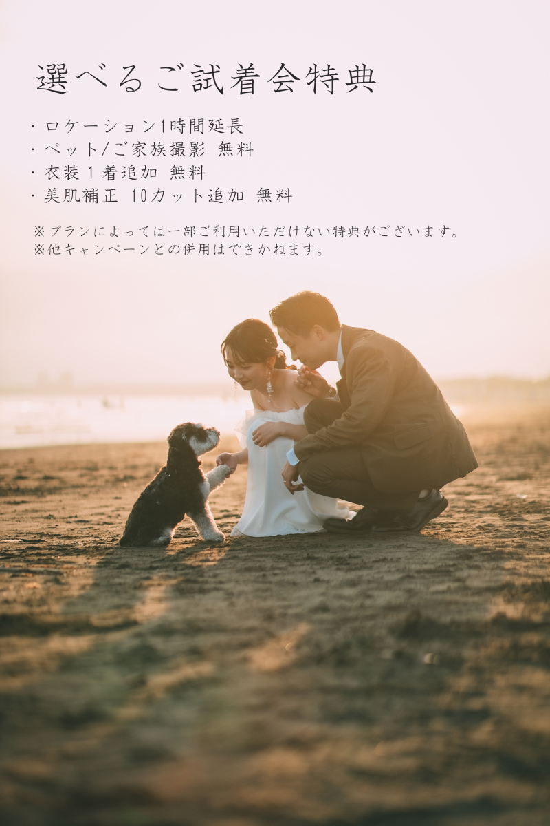 ご試着会
