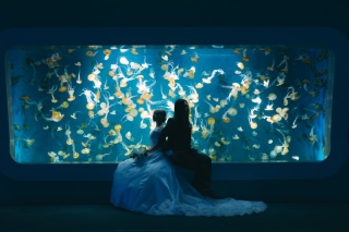 Jheart 江ノ島_ベストショット