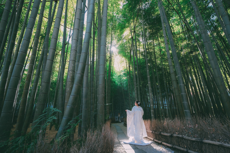 報国寺ロケーション撮影