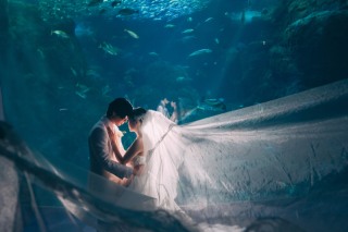 Jheart 江ノ島_新江ノ島水族館