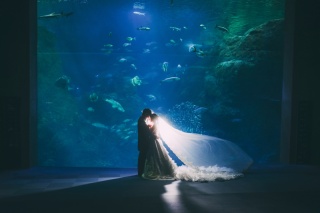 Jheart 江ノ島（ジェイハート エノシマ）_新江ノ島水族館