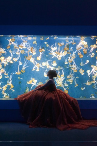 Jheart 江ノ島_新江ノ島水族館