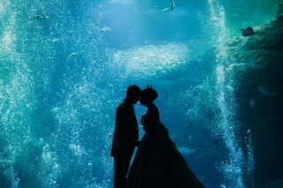 Jheart 江ノ島_新江ノ島水族館