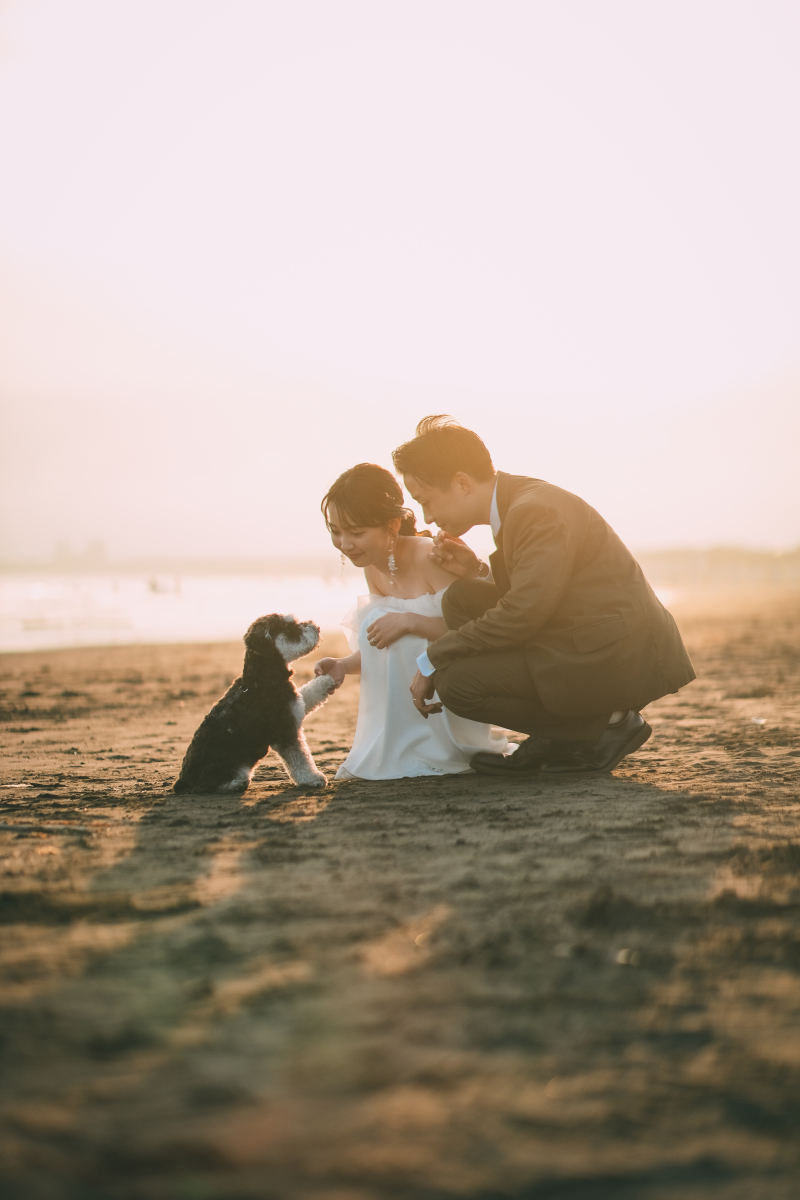 だいすきな君と