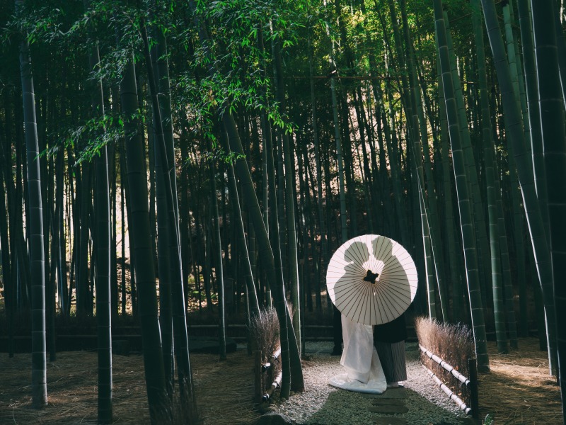 《鎌倉 報国寺》約2,000本の竹林が広がる「竹寺」で撮影!貸切使用料、移動費込 1.5時間撮影 150カット全データ色味補正付