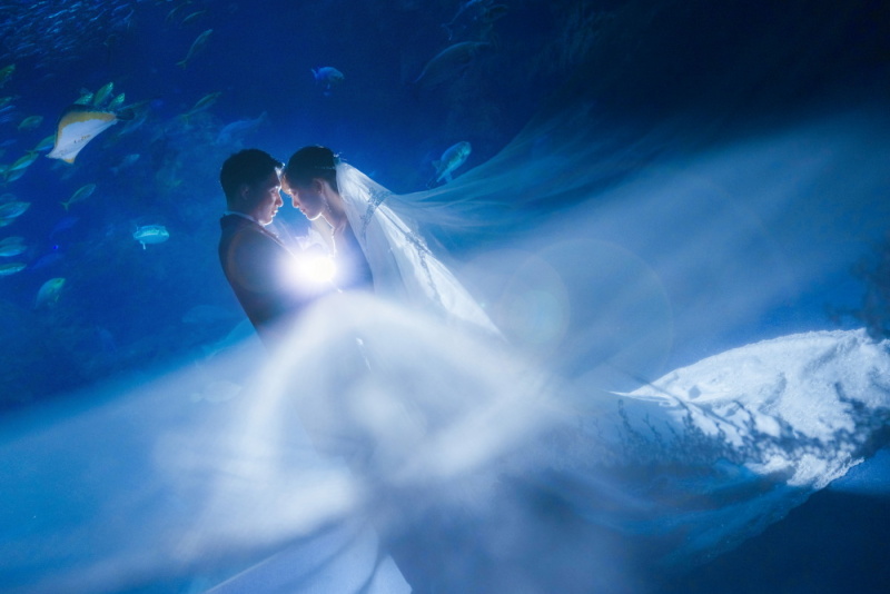 【4月ご成約の方限定】貸切水族館フォトと和装スタジオ＋ヘアメイクリハーサル付き！《新江ノ島水族館》