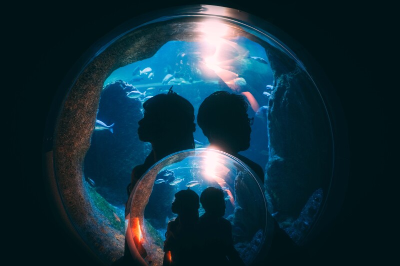 《期間限定キャンペーン》《限定5組様》新江ノ島水族館プランをご成約の方に、和装・スタジオ撮影をプレゼント!