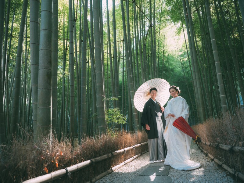 《鎌倉 報国寺》約2,000本の竹林が広がる「竹寺」で撮影!貸切使用料、移動費込 1.5時間撮影 150カット全データ色味補正付