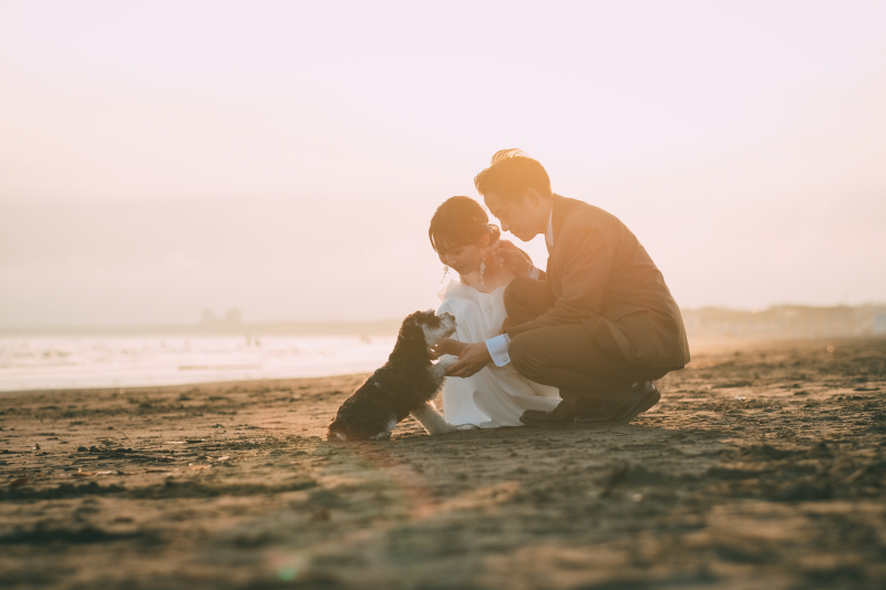 《洋装 湘南海ロケーション》ペットと一緒にウェディングフォト!2時間撮影 200カット全データ色味補正付