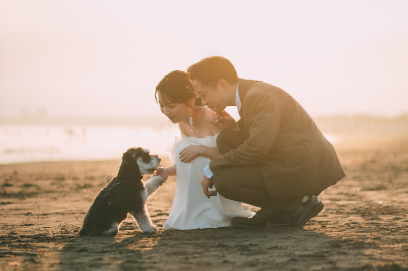 《洋装 湘南海ロケーション》大切なご家族と、ペットと。2時間撮影 200カット全データ色味補正付