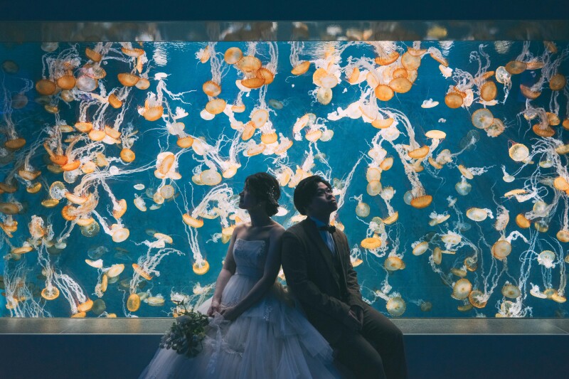 《期間限定キャンペーン》《限定5組様》新江ノ島水族館プランをご成約の方に、和装・スタジオ撮影をプレゼント!