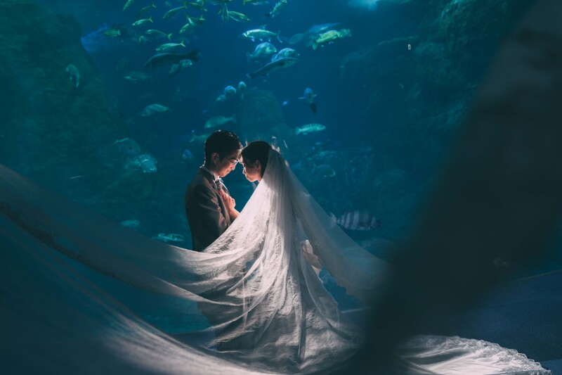 《期間限定キャンペーン》《限定5組様》新江ノ島水族館プランをご成約の方に、和装・スタジオ撮影をプレゼント!