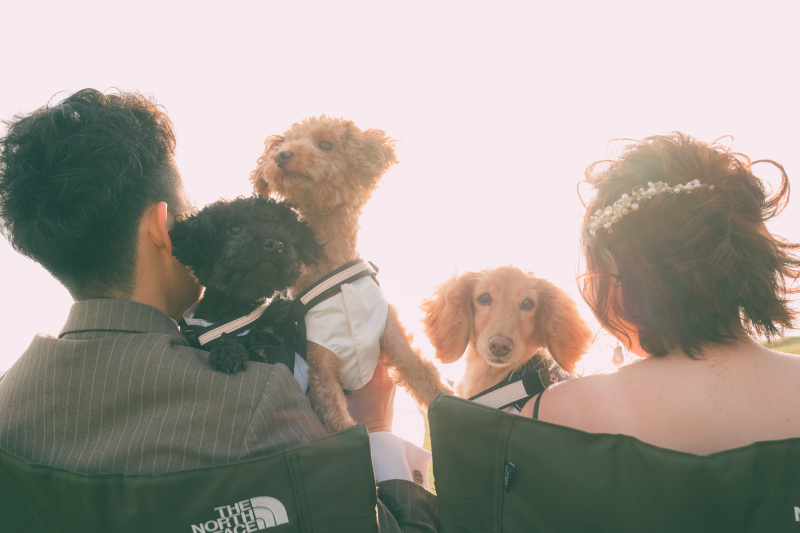 《洋装 湘南海ロケーション》ペットと一緒にウェディングフォト!2時間撮影 200カット全データ色味補正付