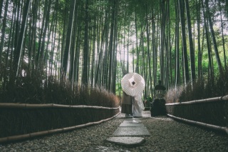 【和装・報国寺プランをご成約のお客様へ】和装スタジオ撮影をプレゼント