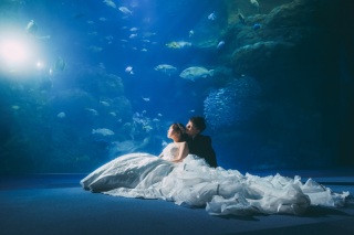 【新江ノ島水族館プランをご成約のお客様へ】和装スタジオ撮影をプレゼント