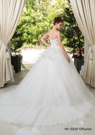 VK-0229 オフW