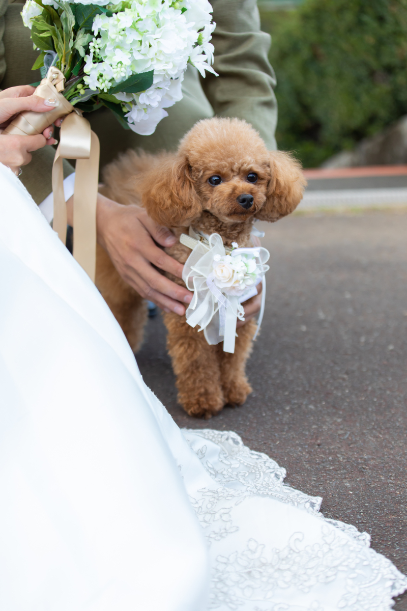 撮影当初、緊張していたかのようなこの表情