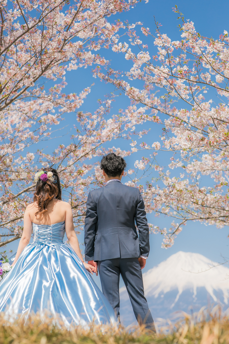 「富士山×桜」日本らしい風景を海外の友人に共有も