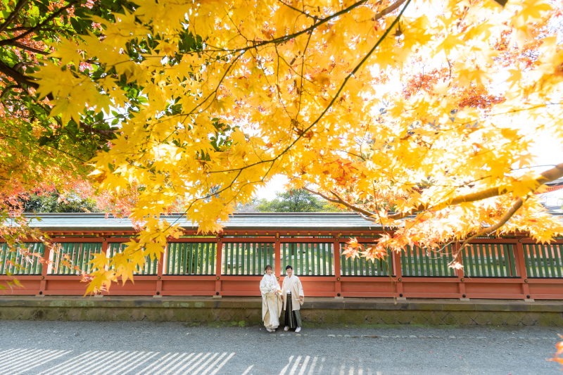 色づく銀杏がフレームのように二人を抱くフォト