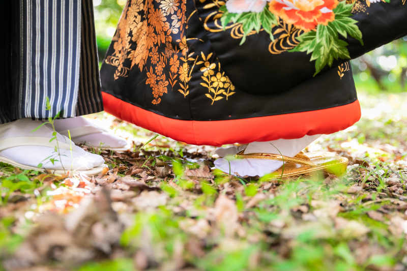 アップショット