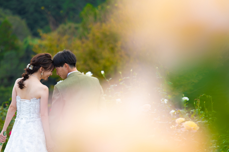 優しい色のバラを近景に用いたファンシーなフォト