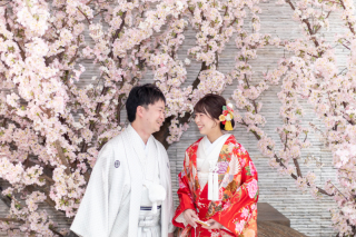 ＼春を先取り／桜スタジオでいつでも春撮影♪衣裳サロンも館内でラクラク準備！