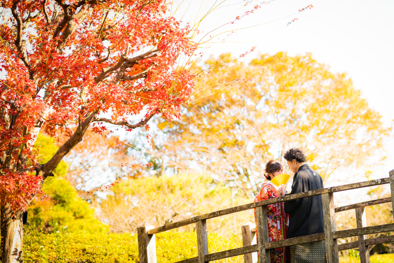 紅葉のグラデーション