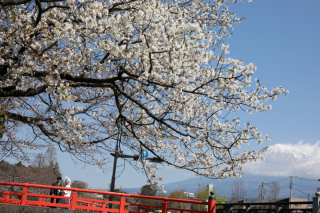 圧巻の富士山と快適撮影《和装１点・富士山近郊ロケーションプラン》白無垢or色打掛どちらでもOK！デジタル加工済データ30カット付