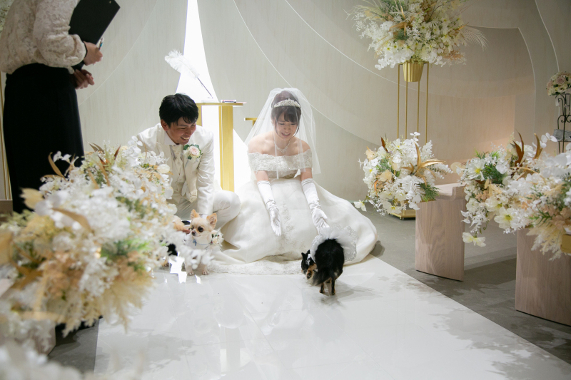 ワンちゃんとフォト４