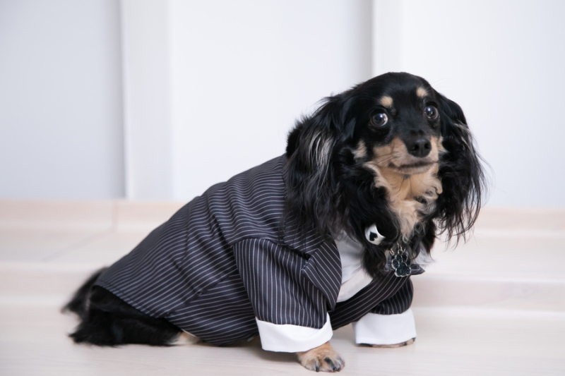 しっかりお着替え！