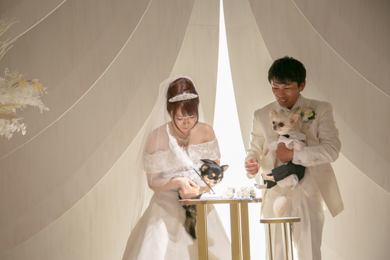 ワンちゃんとフォト１０