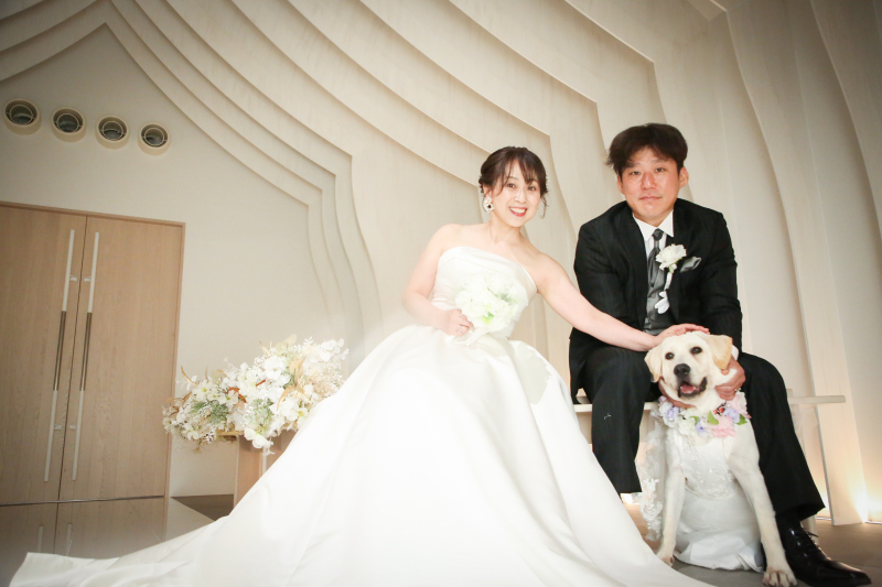 フォトウエディングとラブラドールレポート６
