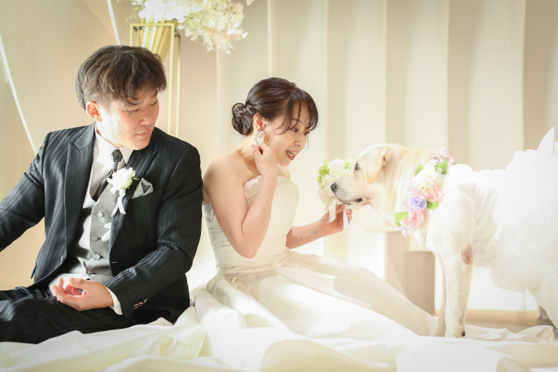 ラブラドールとフォトウエディングレポート