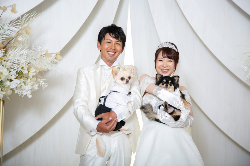 ワンちゃんと一緒に