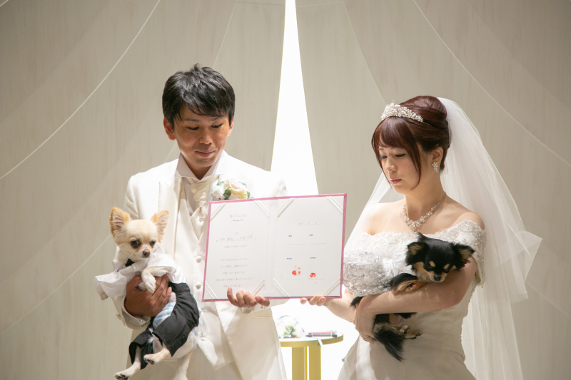 ワンちゃんとフォト９