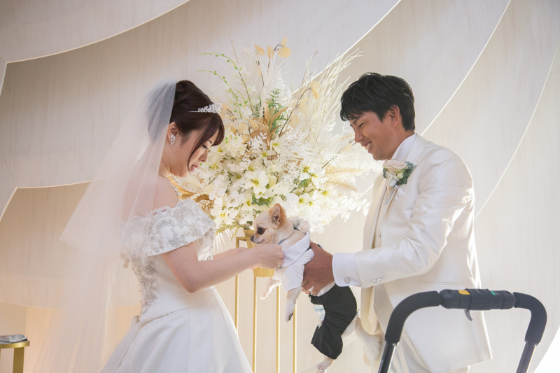 ワンちゃんとフォト３