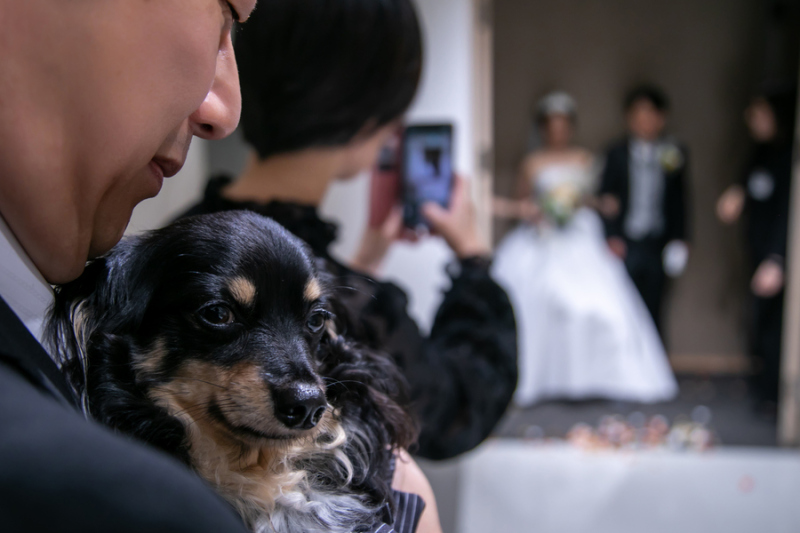 見守ってくれました♡