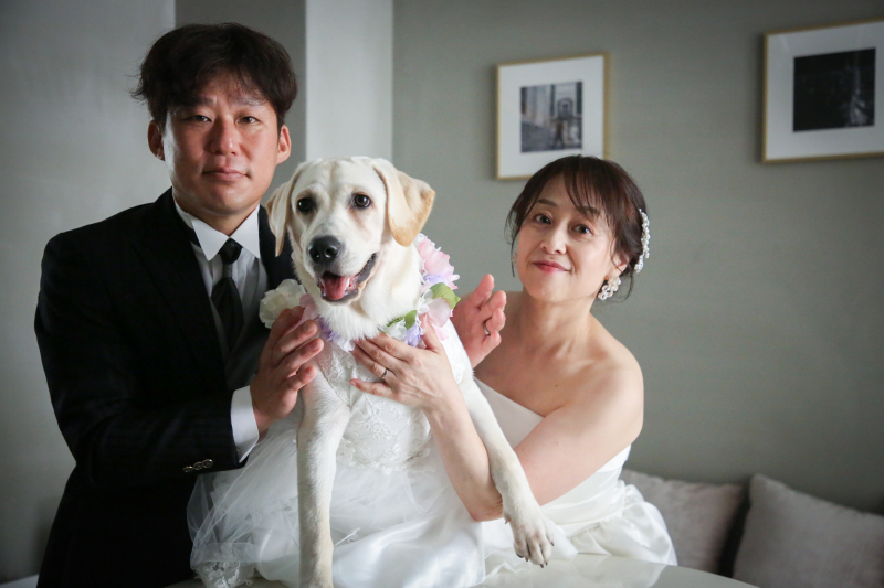フォトウエディングとラブラドールレポート８