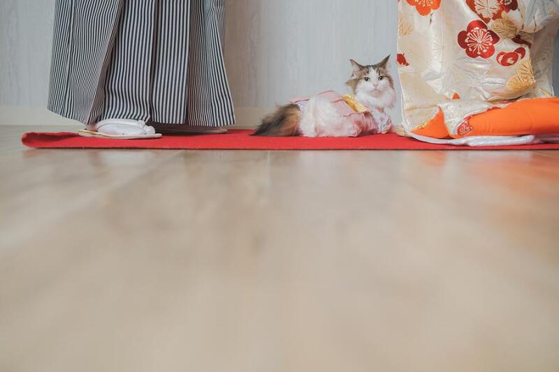 こんなショットも✿