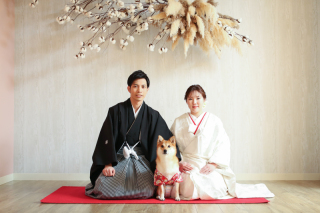 ペットとの撮影