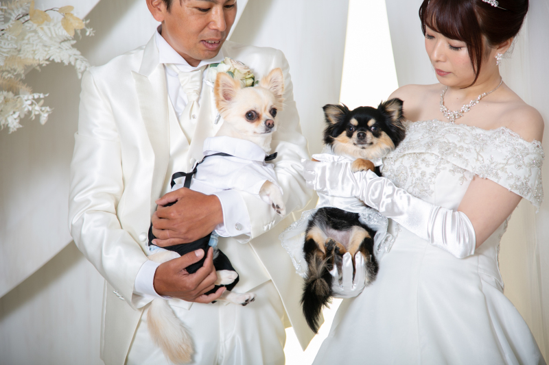 小さな結婚式　福岡店_ペットと一緒に撮影できる