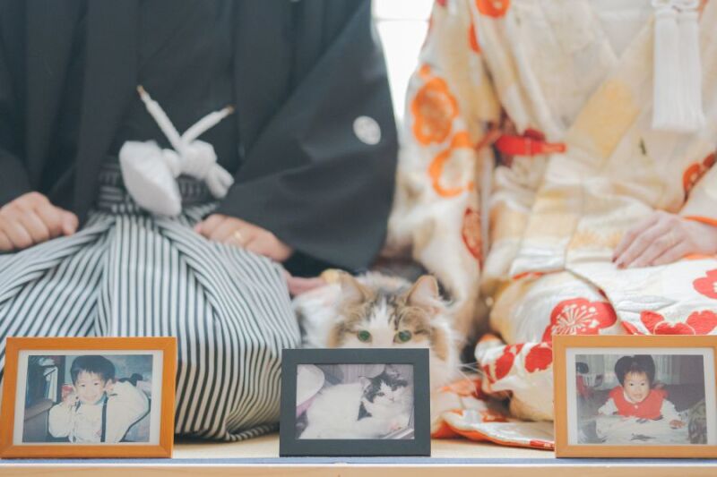 【期間限定！定価139,000円&rarr;80,500円】ドレスも和装も着たい花嫁様へ｜全データ付