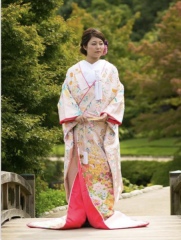 色AP-101 天松宝花 