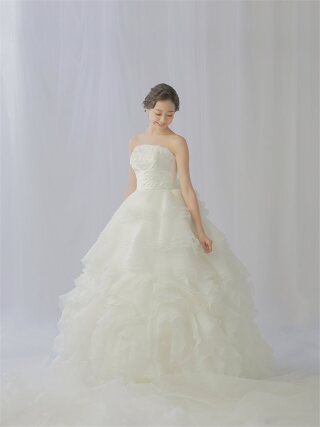 plumeria ﾌﾟﾙﾒﾘｱ